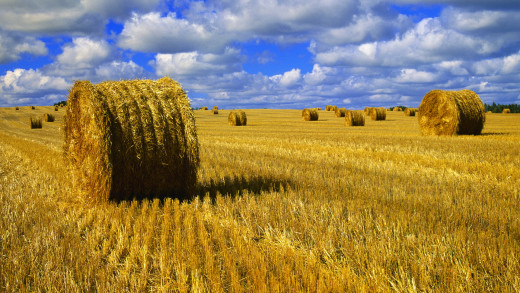 595996 (a): :1920x1080
